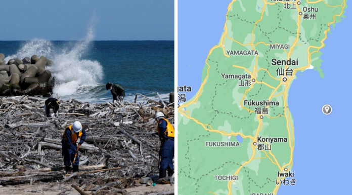 7.3-magnitude quake shakes Japan