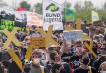 Climate activists protest in Germany